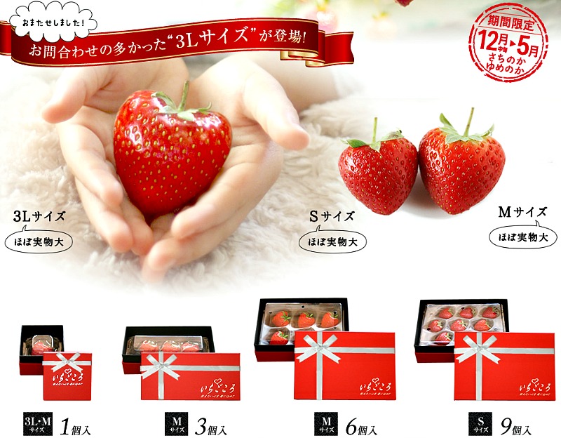 Valentine Strawberry
